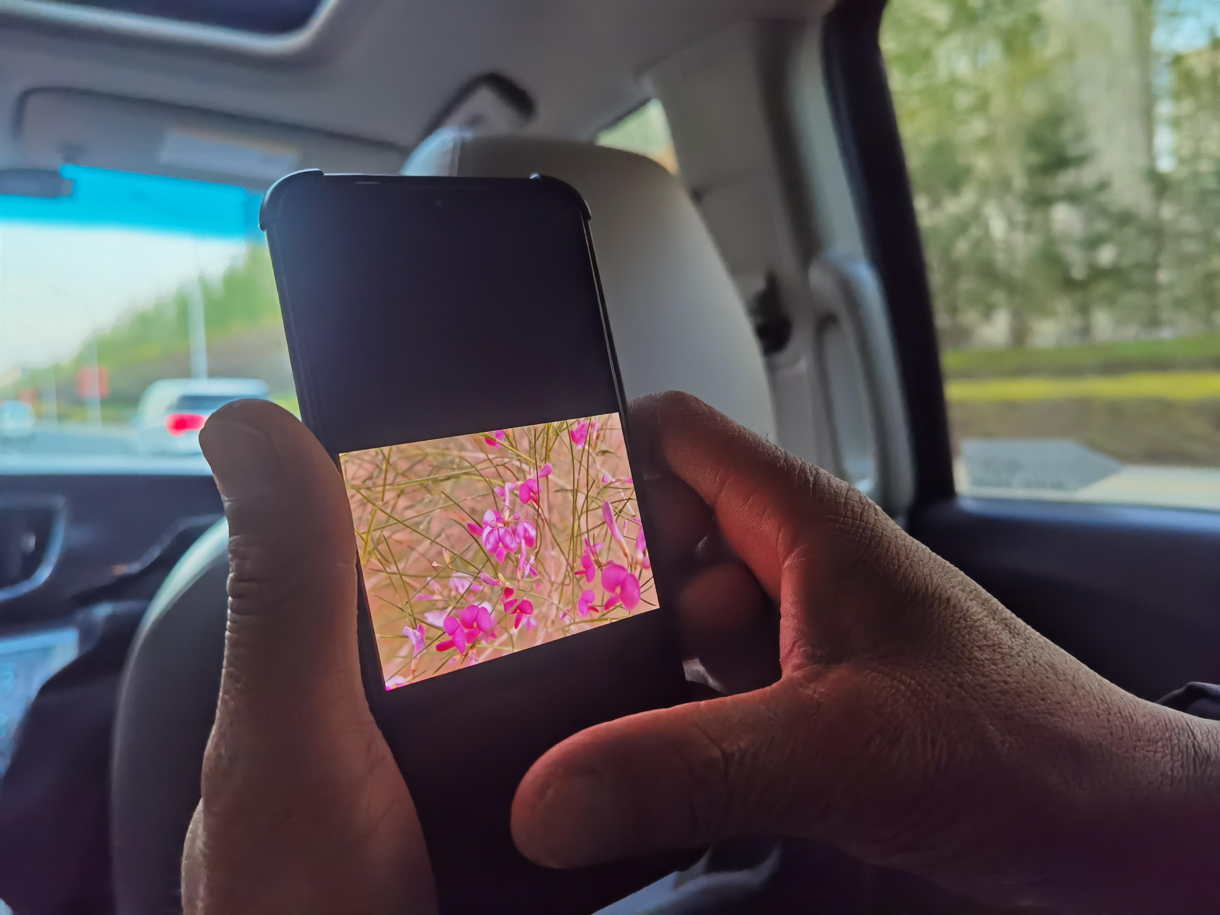 6b8ce3d164785be07770962715801c8.jpg 6b8ce3d164785be07770962715801c8.jpg